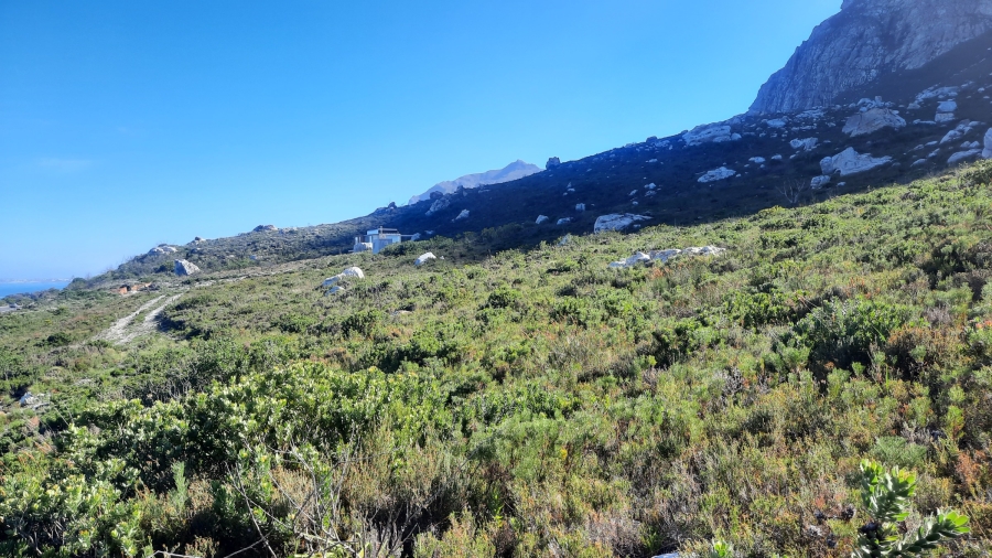 0 Bedroom Property for Sale in Bettys Bay Western Cape